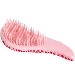 Daraq Idc Institute Xallı