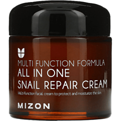 Üz Kremi Mizon All İn One Snail Repair 75 ml