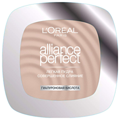 Пудра Loreal Alliance Perfect N2